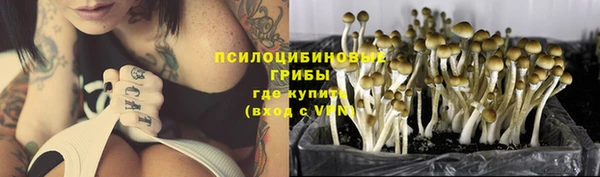 ГАЛЛЮЦИНОГЕННЫЕ ГРИБЫ Баксан